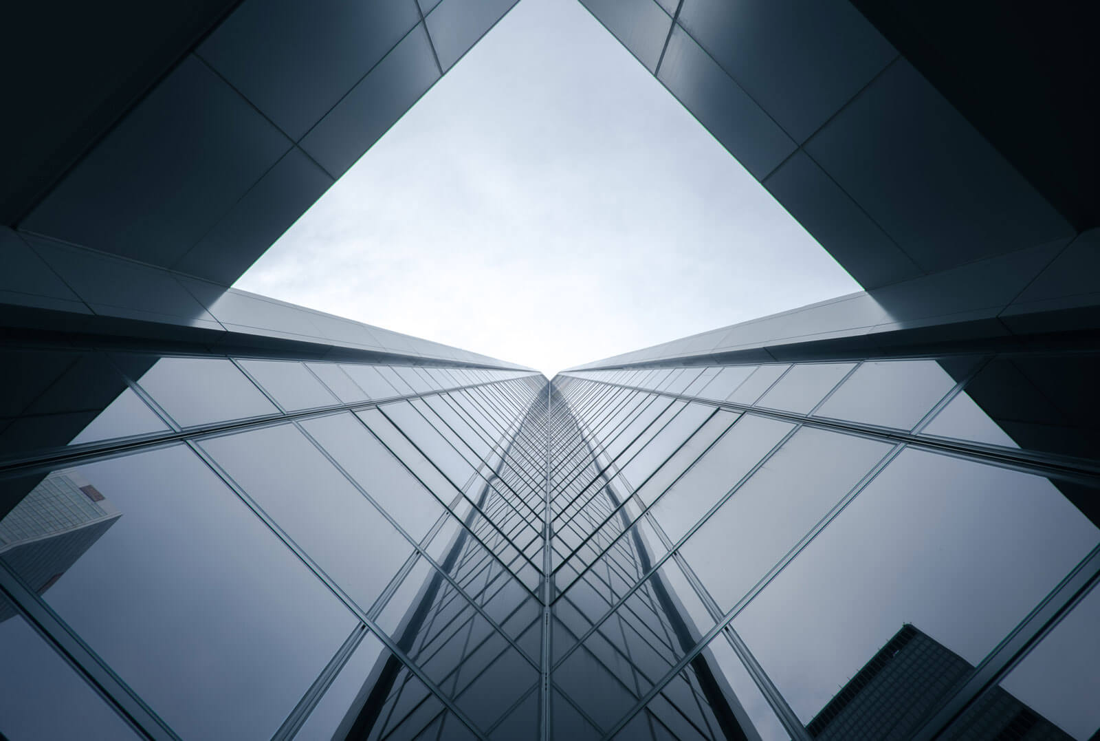 Odoo • Image and Text
